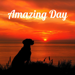 Amazing Day