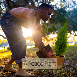Portada de Roots