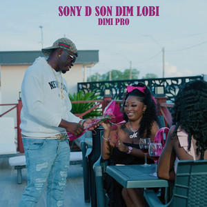 Dimi pro - Sony D Son Dim Lobi
