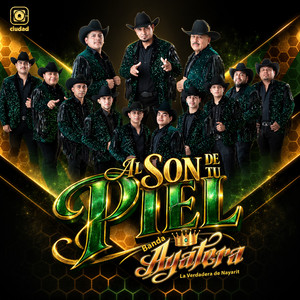 El tiburón by Banda Ayatera La Verdadera de Nayarit