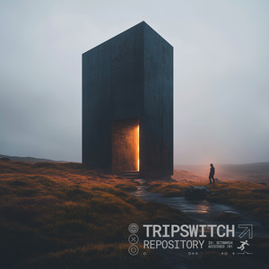 Oblique by Audio Anonymous, Tripswitch