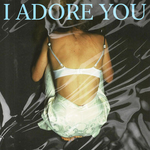 I Adore You by Single