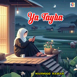 Mahmood Hassan - يا طايرة