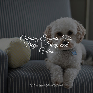 Calming Sounds For Dogs | Sleep and Vibes album