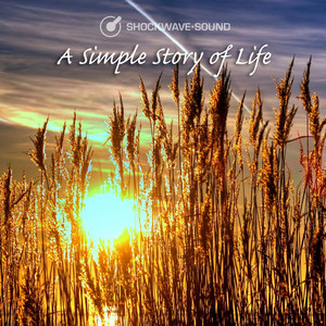 Shockwave-Sound - A Fragile Heart