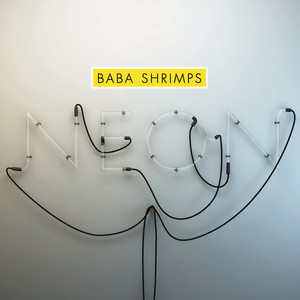 Back to Where the Light Is by Baba Shrimps