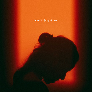 Don't Forget Me by Roald Velden