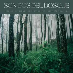 Sonidos Del Bosque: Serenas Canciones De Pájaros Para Sentirte Relajado album