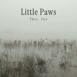 Little Paws by This, Too