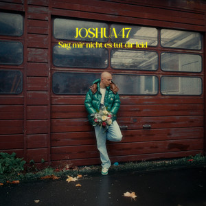Sag mir nicht es tut dir leid by Joshua47