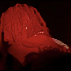 whole lotta red (playboi carti) by $lLV3R