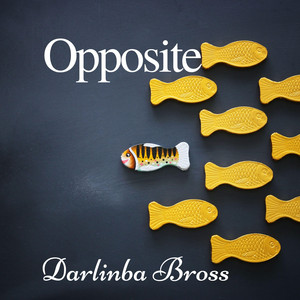 Opposite by Darlinba Bross