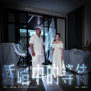 昏暗中的等待 (SG:SW 2024 新加坡華族文化中心跨樂獎) by 陳銀雪, Ridzwan Latiff