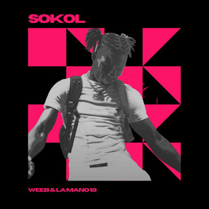 Portada de Sokol