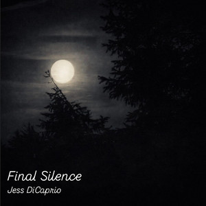 Final Silence by Jess Dicaprio