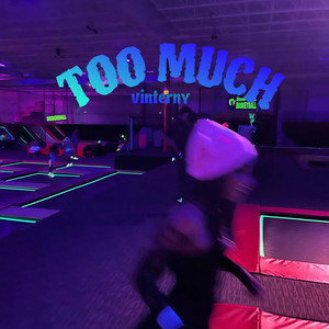 TOO MUCH by Vinterny