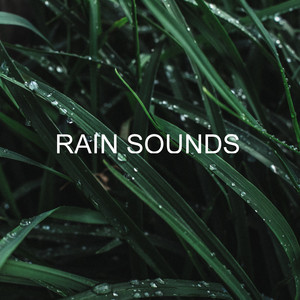 Rain Sounds album