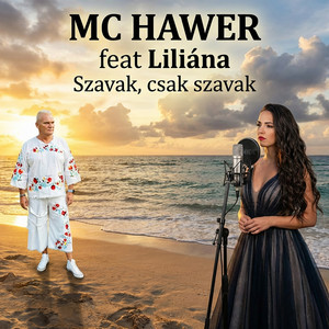 MC Hawer - Szavak, csak szavak (feat. Liliana)