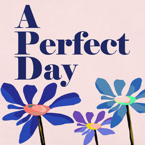 DAY 【C9483】Various Artists/PERFECT