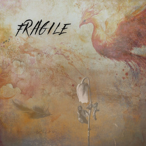 Fragile by RAAMT