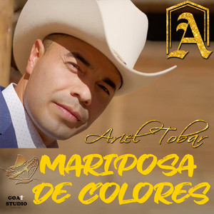 Mariposa de Colores