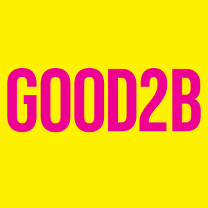 Good2B - Radio Edit by Goose