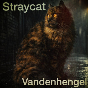 Straycat by Vandenhengel