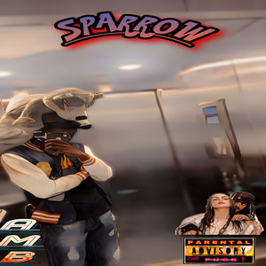 Portada de Sparrow