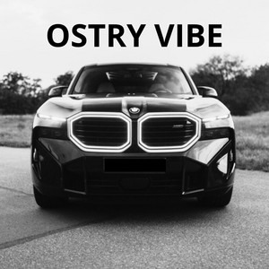 OSTRY VIBE