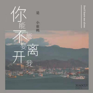 是小崔鸭 - 你能不能不要离开我 (韩语版)