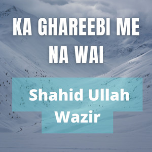Shahid Ullah Wazir - Ta Che Pradi Watan Talale