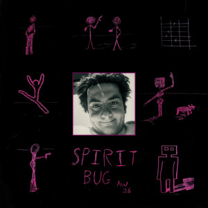 Spirit Bug