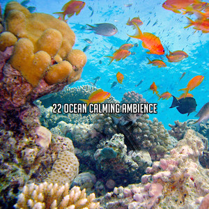 22 Ocean Calming Ambience album
