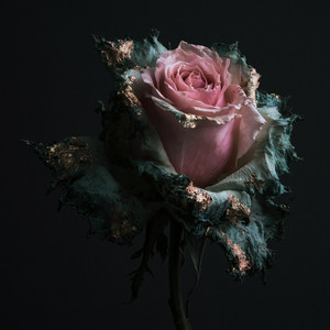 Verdigris by Lady Mourning, Deathly Hours