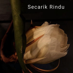 Secarik Rindu