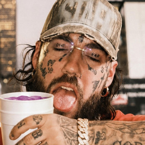 Purple Double Cup by DJ Lil Sprite