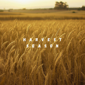 Harvest Season by Chris Embers, Nylonwings