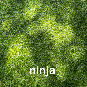 ninja by Xesiboys
