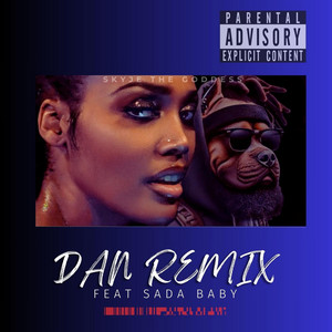 Portada de DAN - Remix