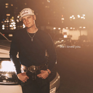 Like I Loved You by Lane Smith