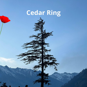 Cedar Ring by La Bella Emelyn
