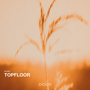 Topfloor by Belmont