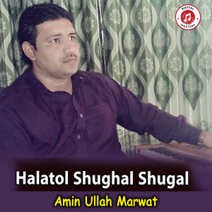 Amin Ullah Marwat - Halatol Shughal Shugal