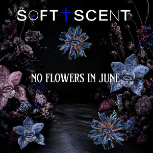 No Flowers in June by Soft Scent