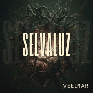 Entre el Ruido y la Verdad by Veelmar