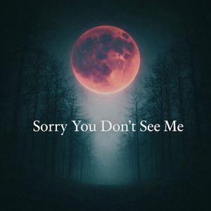 Sorry You Don't See Me by Haviticus