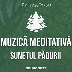 Raluca Robu - Sunetul Padurii, Muzica De Meditatie