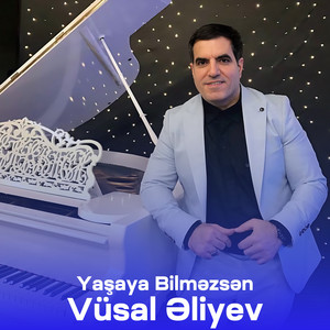Vüsal Əliyev - Yaşaya Bilməzsən
