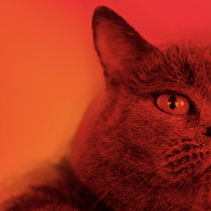 Бубенчик - Ням-ням