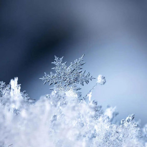 Jack frost